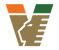 team 1 flag